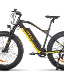 Electric Bike 750W 48V 12.8 AH 4.0 Fat Tire 7 Speed Bicycle
